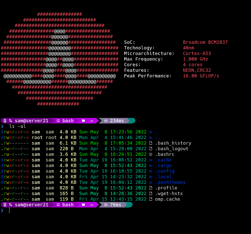 Screenshot of a terminal running on a Raspberry Pi. The content is enhanced from that of a standard Raspberry Pi terminal, with added information and colour.