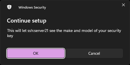 screenshot of a security prompt from Microsoft Windows, warning.