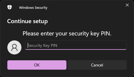 screenshot of a security prompt from Microsoft Windows, requesting a FIDO2 PIN.