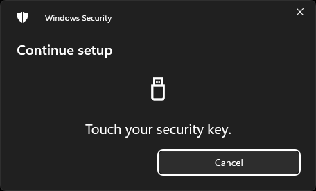 screenshot of a security prompt from Microsoft Windows, touch the key.